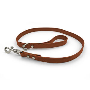 dog leash in grain leather