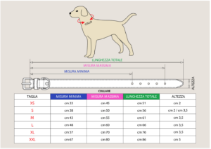 SIZE GUIDE FOR NATURE COLLECTION 