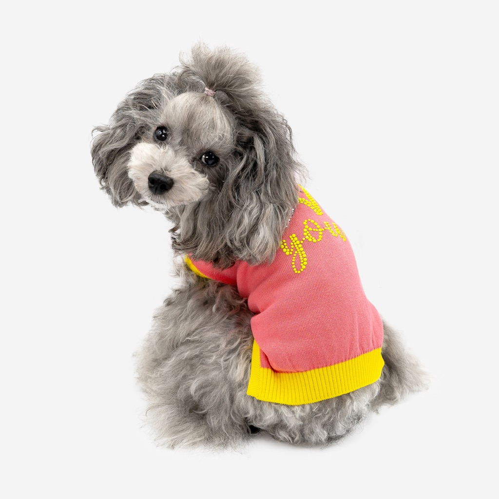 Barboncino con pullover per cani in cotone Love You con decorazione LOVE you e strass Love You cotton dog pullover with decorative studs and rhinestones