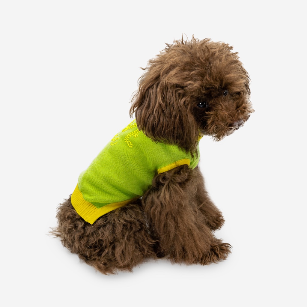 Barboncino con pullover per cani in cotone Love You con decorazione LOVE you e strass Love You cotton dog pullover with decorative studs and rhinestones