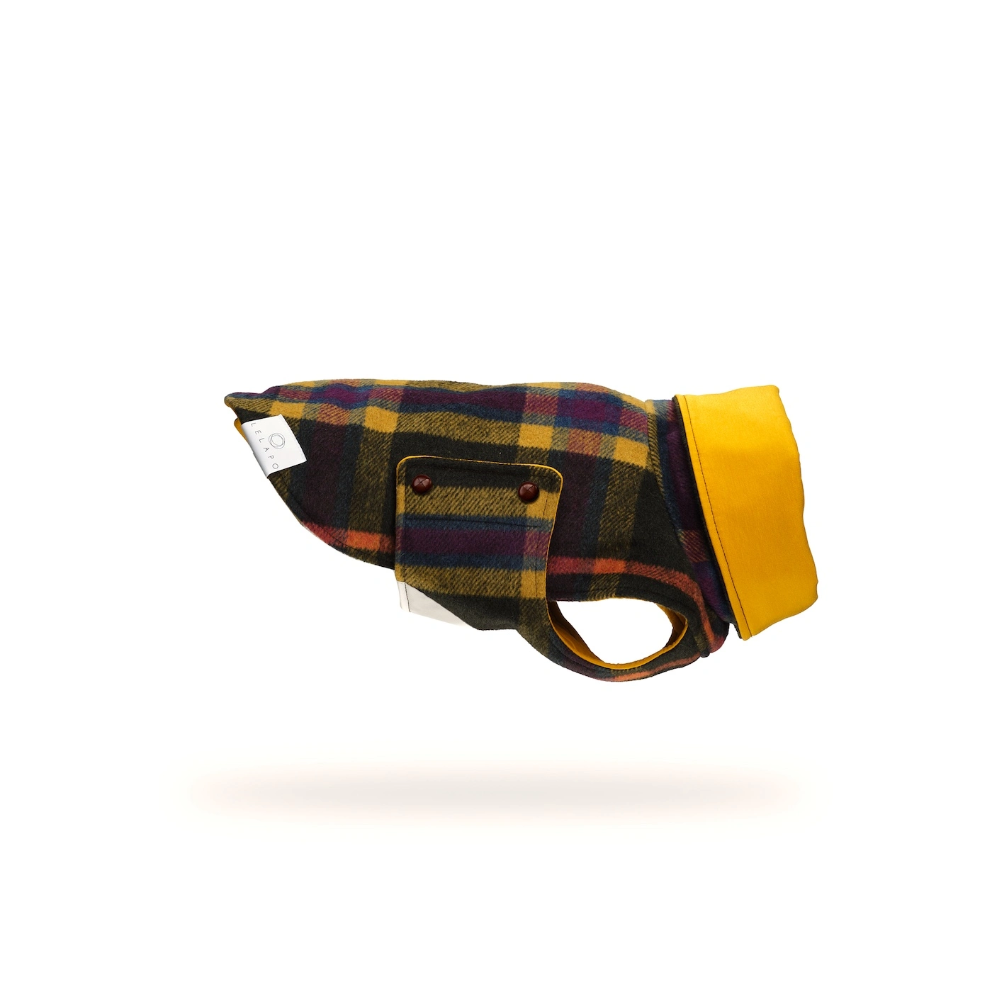 Barboncino con cappotto in loden - Poodle with loden coat