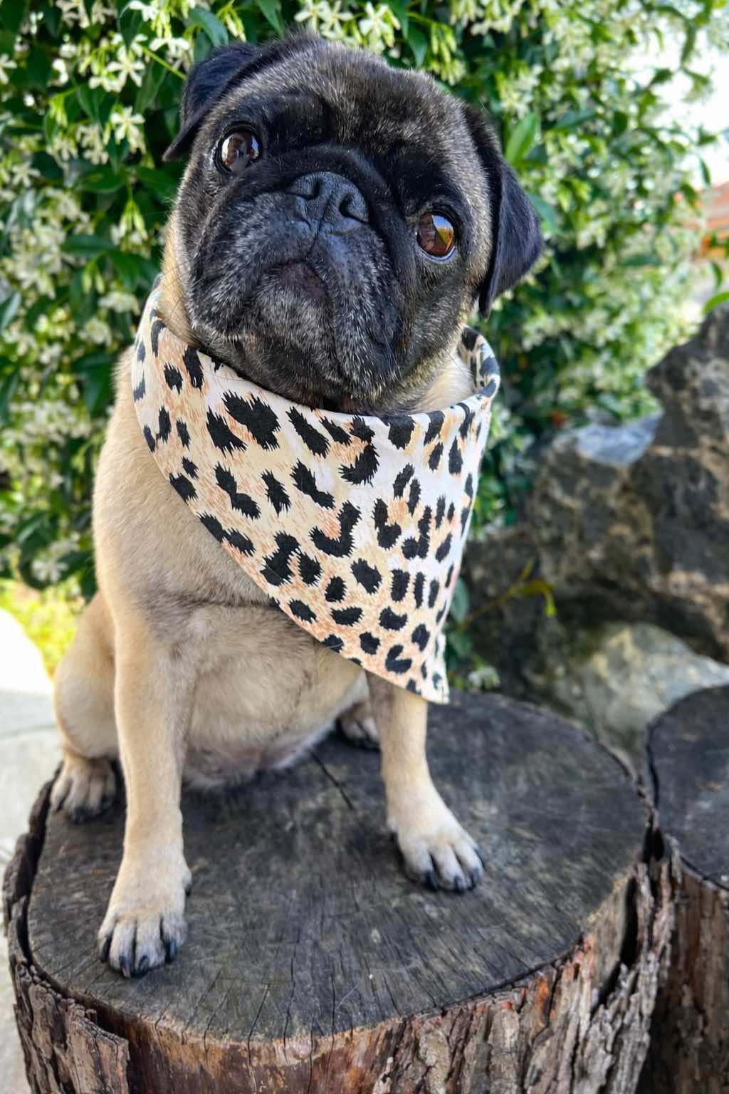 Bandana per cane reversibile con stampa animalier e mimetica. Reversible dog bandana with leopard and camouflage print.