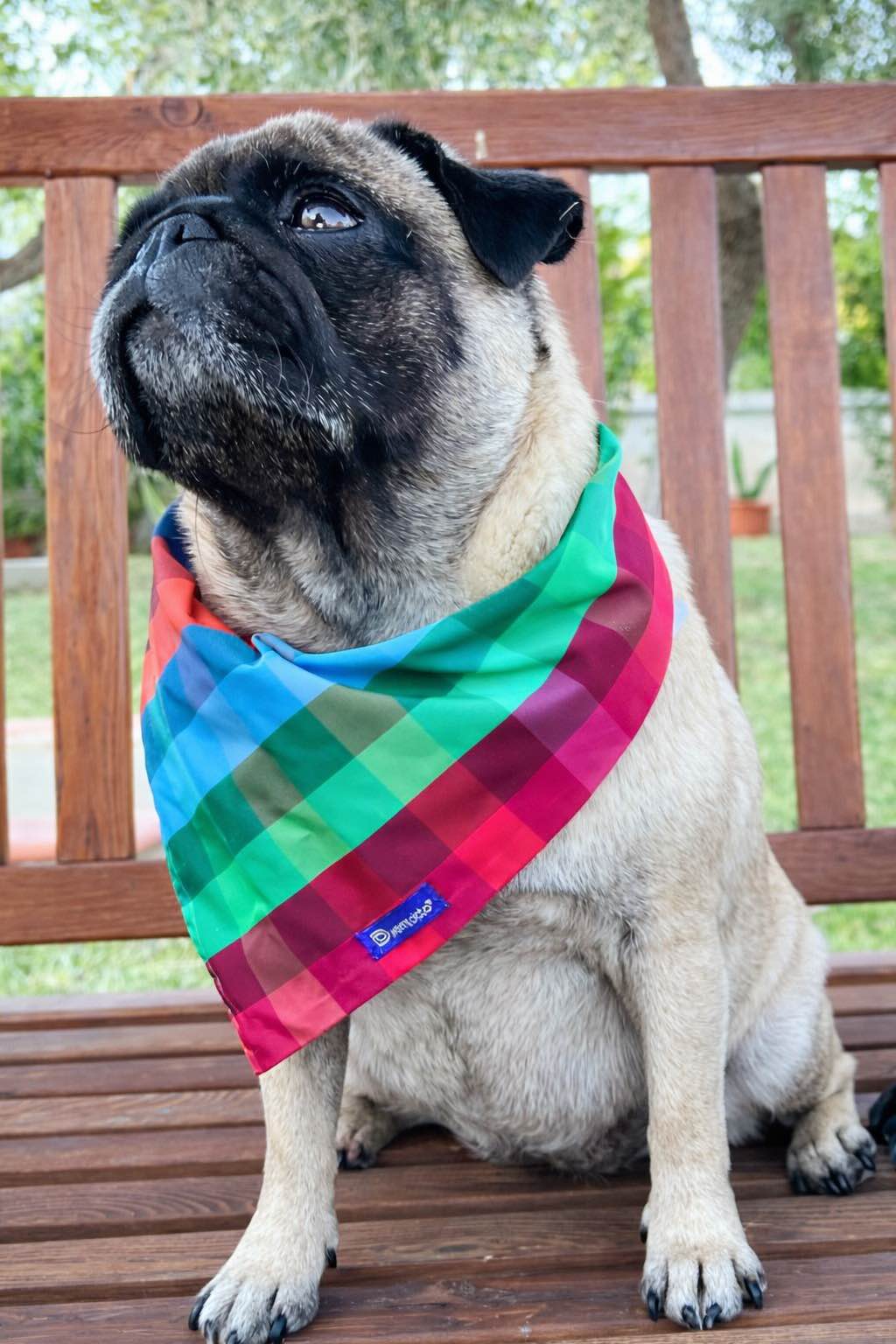 Bandana per cani reversibile cotone con fantasia floreale su un lato e motivo a quadri colorati sull’altro. Reversible cotton dog bandana with floral pattern on one side and colorful check pattern on the other.