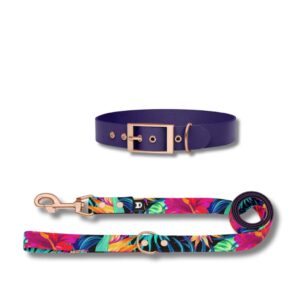 Set collare e guinzaglio cane Garden con collare viola e guinzaglio fantasia floreale. Garden dog collar set with purple collar and floral leash.