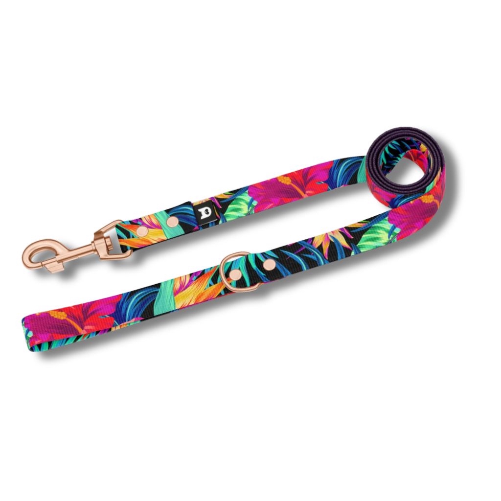 Set collare e guinzaglio cane Garden con collare viola e guinzaglio fantasia floreale. Garden dog collar set with purple collar and floral leash.