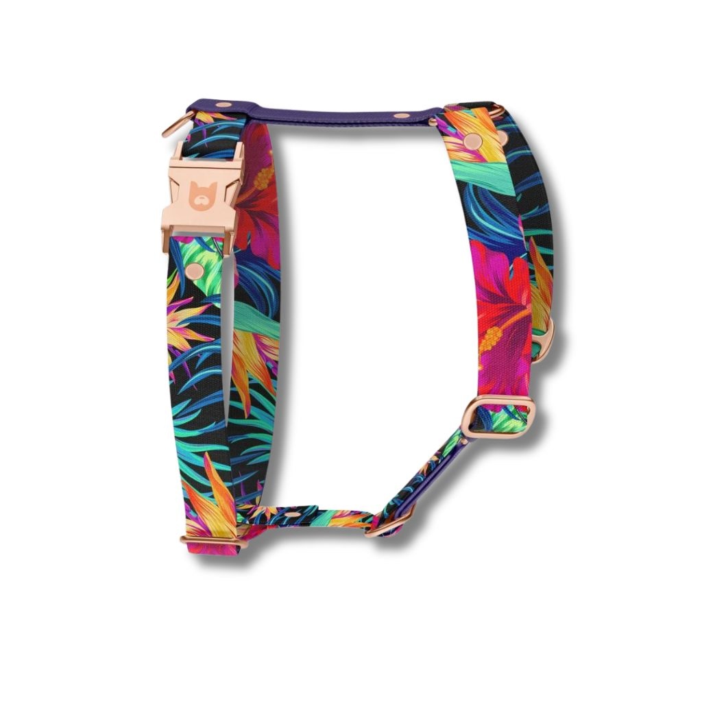 Garden dog harness and leash set with bright floral print made from durable recycled material. Set pettorina e guinzaglio cane Garden con stampa floreale vivace in materiale riciclato resistente.