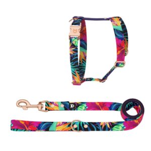 dixystore-pettorina-h-guinzaglio-cane-garden-set-2pezzi