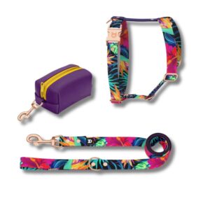 dixystore-pettorina-h-guinzaglio-cane-garden-set-2pezzi