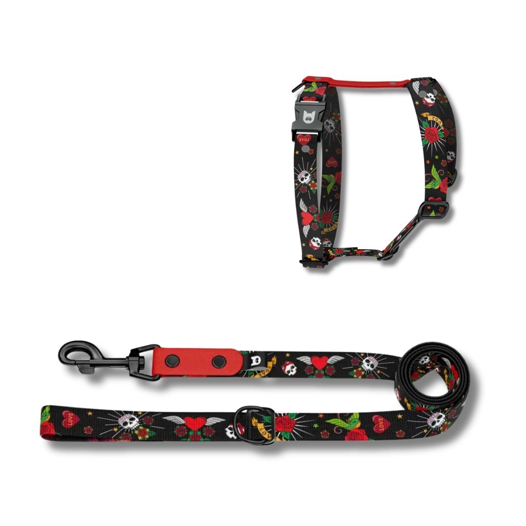 dixystore-pettorina-h-guinzaglio-cane-rebel-set-2pezzi Set pettorina H e guinzaglio cane Rascal con stampa teschi, cuori, ali e rose su fondo nero in materiale riciclato resistente. Rascal dog H harness and leash set with skulls, hearts, wings and roses print on black background made from durable recycled material.
