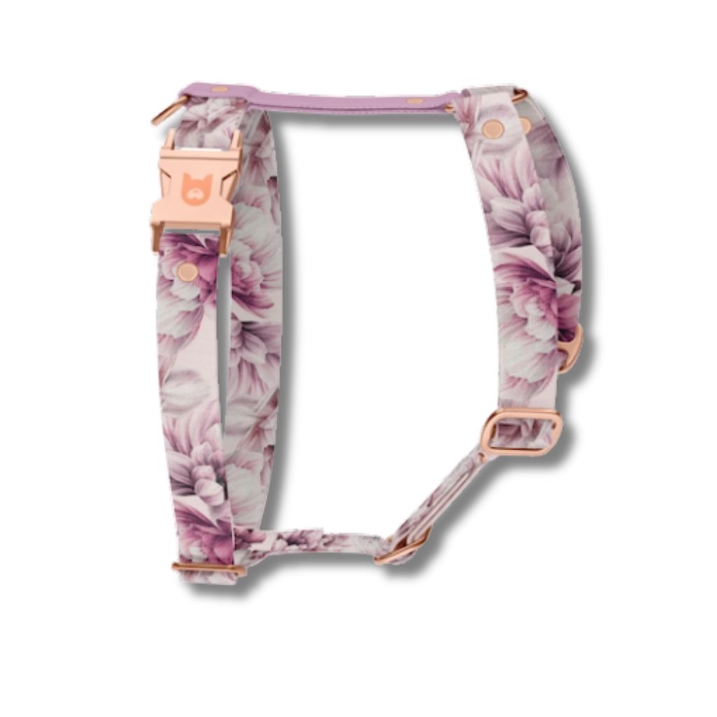 Set pettorina H e guinzaglio cane Spring con stampa floreale rosa in materiale riciclato resistente. Spring dog H harness and leash set with pink floral print made from durable recycled material.