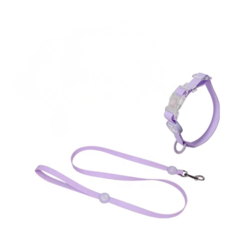 Barboncino con Set collare e guinzaglio in Biothane lilla con DixyStore impermeabile resistente per passeggiate con il cane / DixyStore Biothane dog collar and leash set waterproof durable dog walking gear