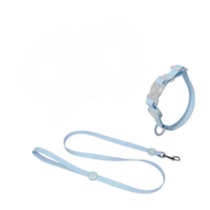 Barboncino con Set collare e guinzaglio in Biothane blu con DixyStore impermeabile resistente per passeggiate con il cane / DixyStore Biothane dog collar and leash set waterproof durable dog walking gear