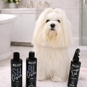 Maltese Balsamo lisciante per cani con proteine della seta, olio di mandorle dolci e argan per mantelli morbidi e districati / Smoothing conditioner for dogs with silk proteins, sweet almond oil and argan for soft, manageable coats