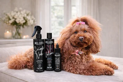 ChatGPT Image Jan 22, 2026, 05_53_40 PM Barboncina con Balsamo volumizzante per cani con collagene, cheratina e pantenolo per dare corpo e volume al mantello / Volumizing dog conditioner with collagen, keratin and panthenol for body and coat volume