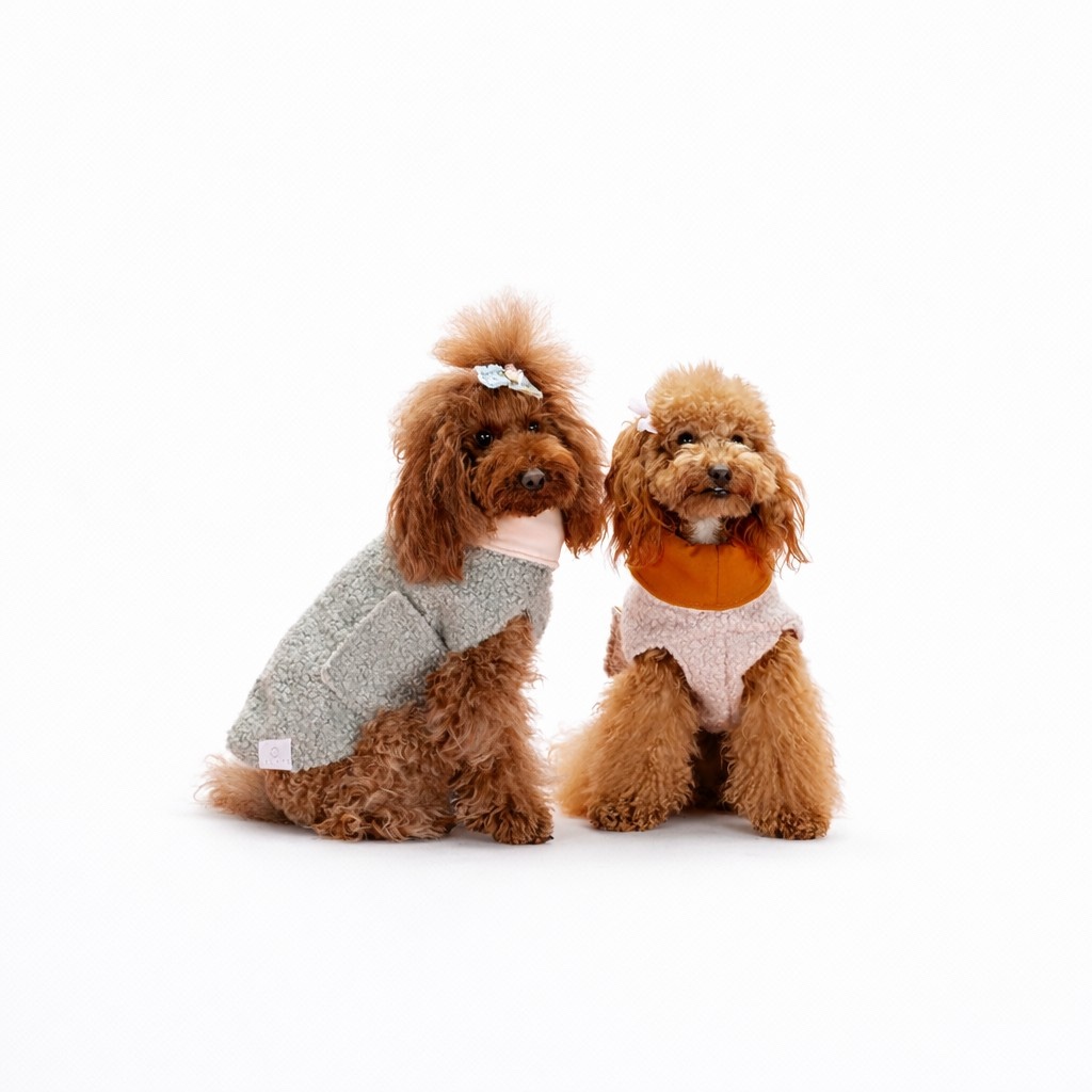 Due barboncini che indossano cappotti per cane in bouclé color acquamarina e rosa pastello con collo alto protettivo