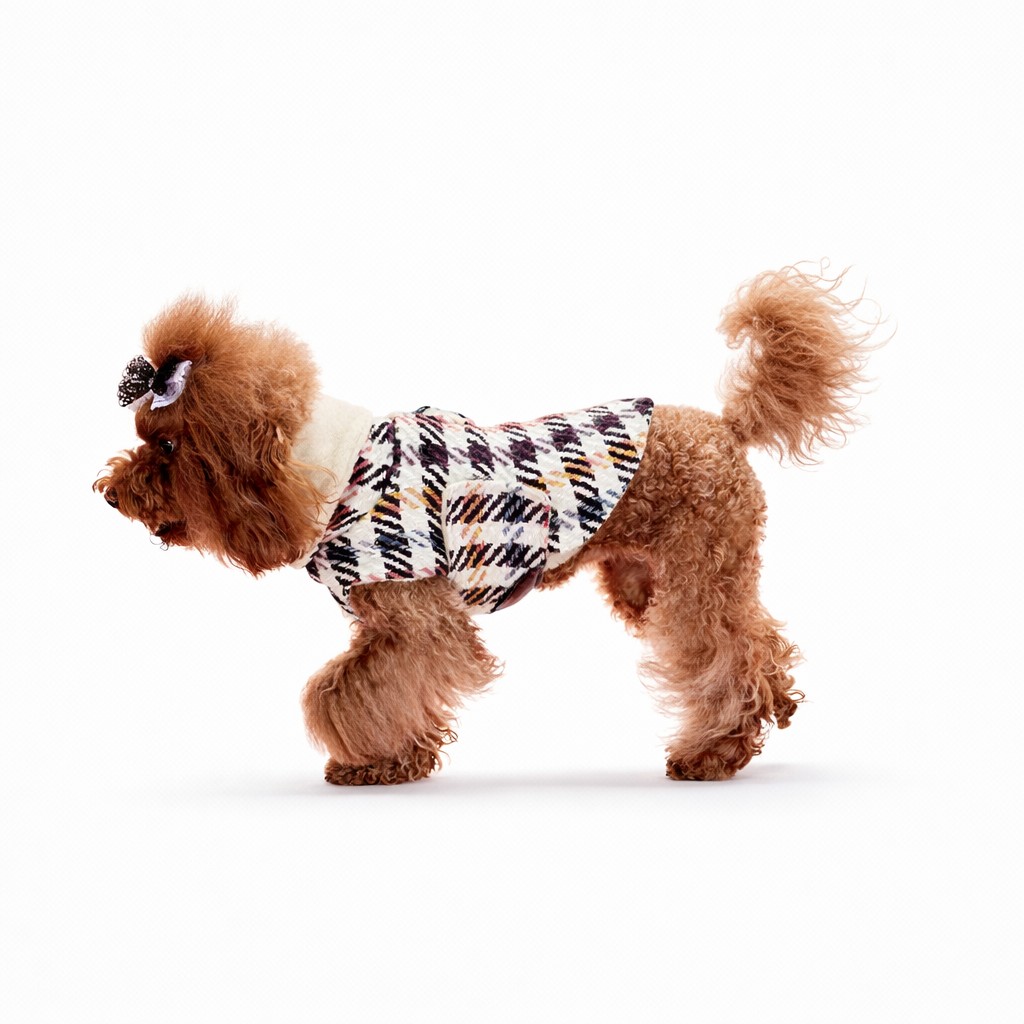 Barbpncino che indossa cappotto per cane in lana pied-de-poule con collo alto Poodle wearing a wool houndstooth dog coat with high collar