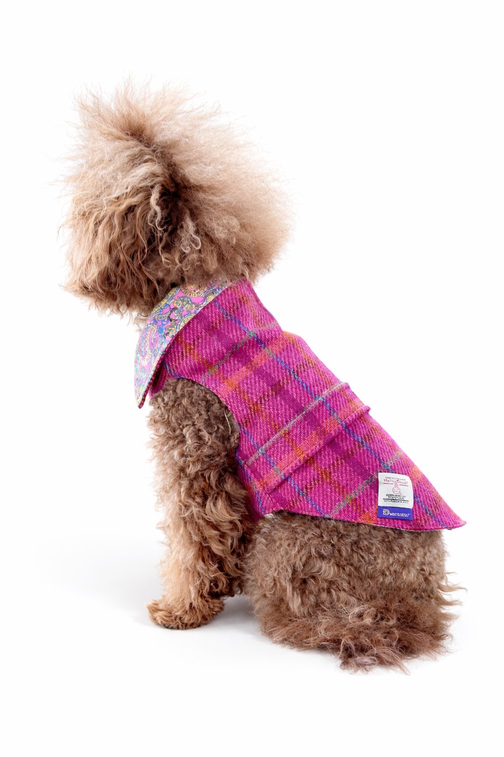 Barboncino con Cappotto per cane Hebrides in Harris Tweed tartan con fodera in cotone. Hebrides Harris Tweed tartan dog coat with cotton lining.