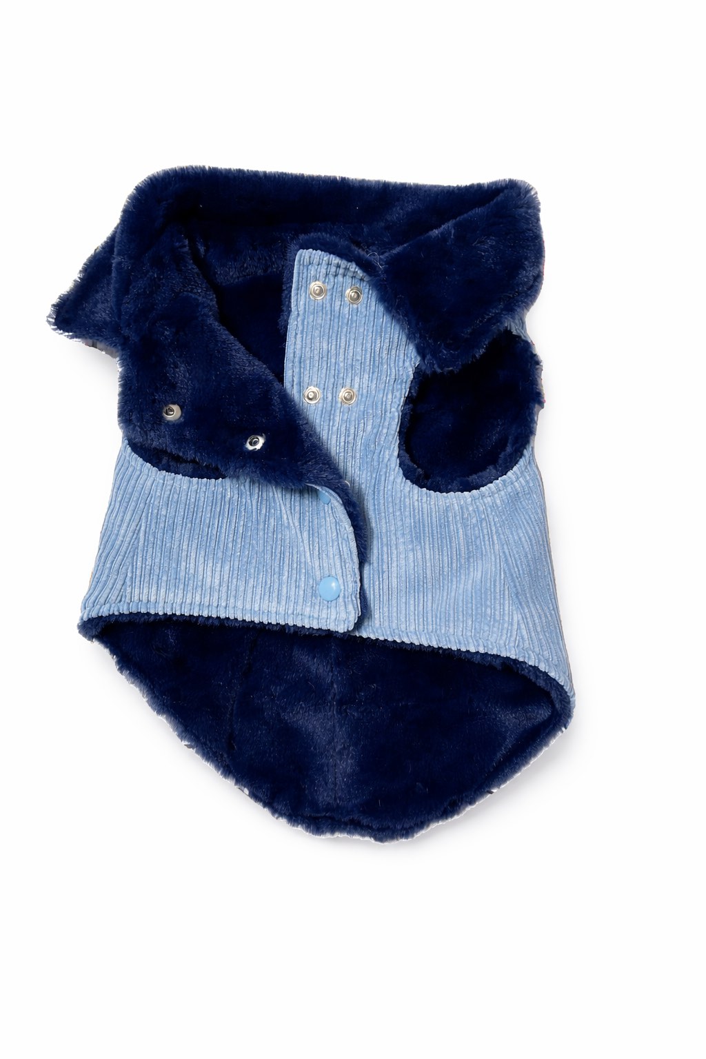 giacca per cane in velluto a coste blu “Nile Blue” con fodera in faux-fur durante passeggiata invernale Nile Blue corduroy dog jacket with faux-fur lining during a winter walk