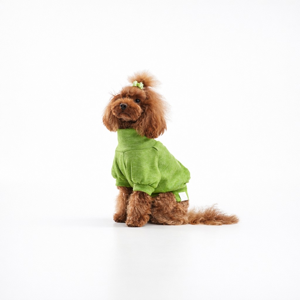 TopTop per cane in tessuto morbido verde con collo alto morbido e ciondolo a stella dorato. Soft green dog top with soft turtleneck collar and small golden star charm.