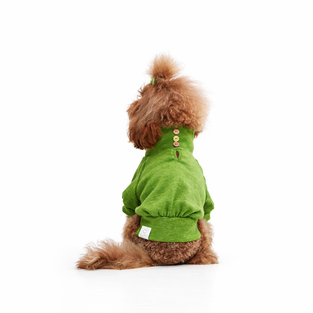 Top per cane in tessuto morbido verde con collo alto morbido e ciondolo a stella dorato. Soft green dog top with soft turtleneck collar and small golden star charm.