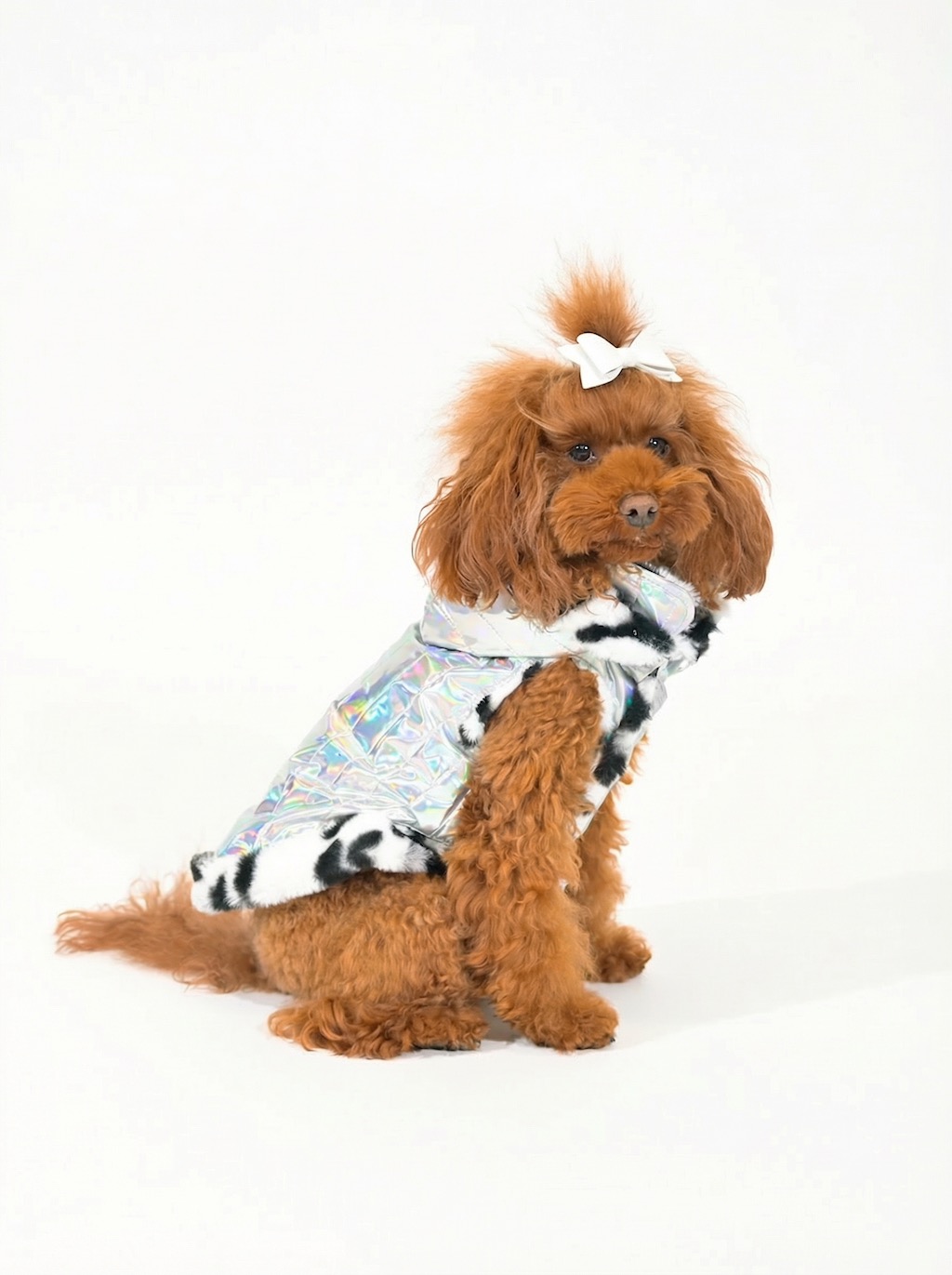 Barboncino con Cappotto per cane Techno puffer olografico con fodera faux-fur zebrata e mantellina removibile. Techno holographic puffer dog coat with zebra faux-fur lining and removable cape.