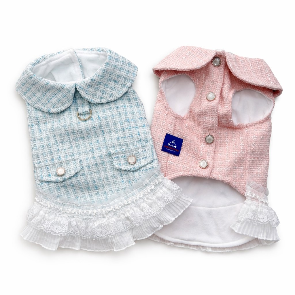 Barboncino con Abito per cane Renoir in tweed rosa con colletto arrotondato e gonna in pizzo bianco. Renoir pink tweed dog dress with rounded collar and white lace skirt.