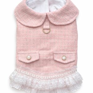 Barboncino con Abito per cane Renoir in tweed rosa con colletto arrotondato e gonna in pizzo bianco. Renoir pink tweed dog dress with rounded collar and white lace skirt.